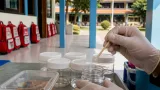 417 siswa Dramaga sakit diduga terkait makanan program MBG, pemeriksaan laboratorium dilakukan