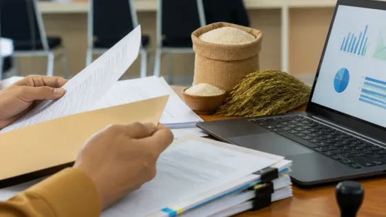 BKN buka pengusulan KPLB bagi ASN berprestasi di bidang ketahanan pangan